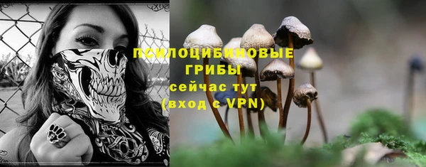 не бодяженный Михайлов