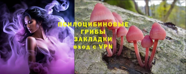 не бодяженный Михайлов