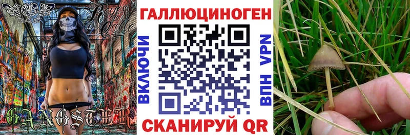 Псилоцибиновые грибы мицелий  Одинцово 